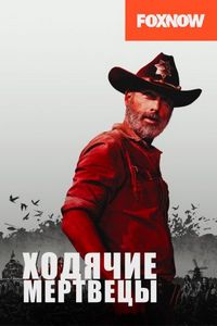 Про эпидемии и вирусы